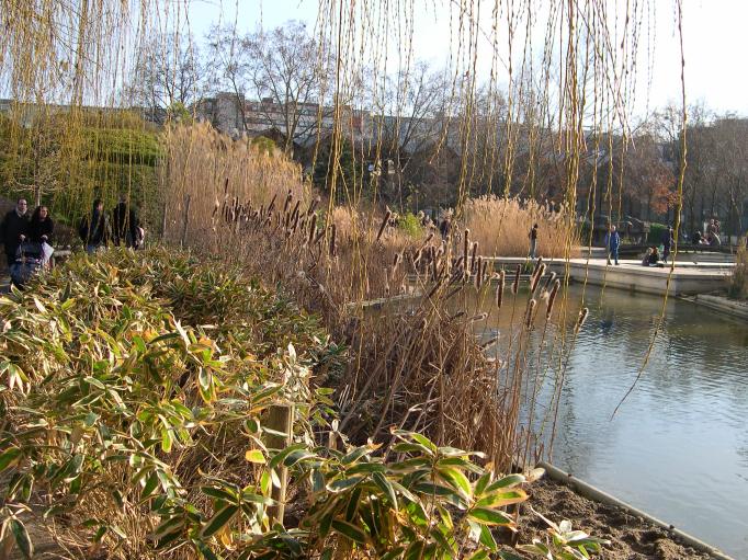  plan d'eau et plantes aquatiques, parc de Bercy